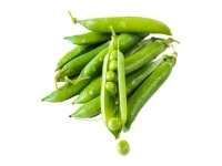 Team-oriented eco-centric collaboration-19